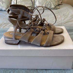 Steve Madden Gladiator sandals taupe suede